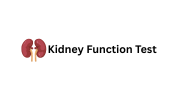 Kidney Function Test